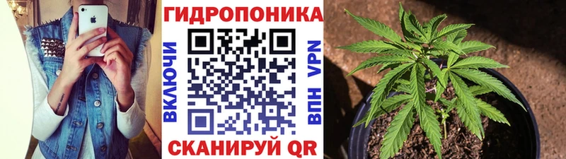 Гашиш Иланский