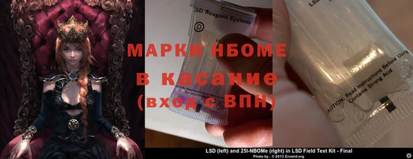 прущие грибы Алзамай
