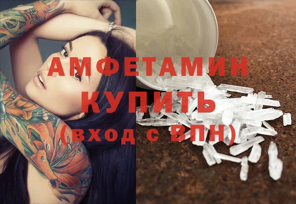 гашик Алексеевка